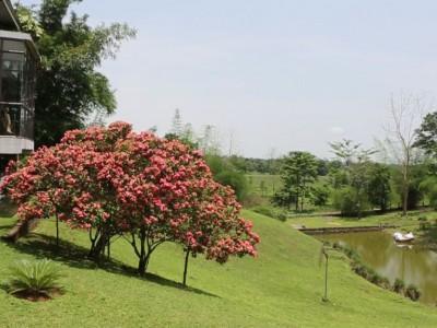 Landmark Woods Hotel Kaziranga Exterior photo